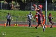 Thumbs/tn_IMG_2933.jpg