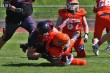 Thumbs/tn_IMG_2954.jpg