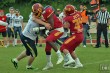 Thumbs/tn_IMG_4880.jpg