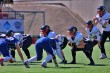 Thumbs/tn_IMG_6525.jpg