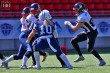Thumbs/tn_IMG_6546.jpg
