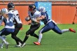 Thumbs/tn_IMG_6774.jpg
