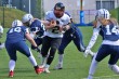 Thumbs/tn_IMG_6802.jpg