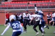 Thumbs/tn_IMG_6904.jpg