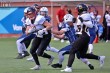 Thumbs/tn_IMG_6906.jpg