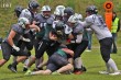 Thumbs/tn_IMG_1044.jpg
