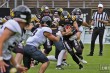 Thumbs/tn_IMG_6192.jpg