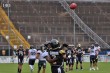 Thumbs/tn_IMG_6306.jpg