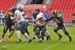 Thumbs/tn_IMG_6576.jpg