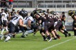 Thumbs/tn_IMG_6953.jpg