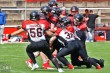 Thumbs/tn_IMG_9798.jpg