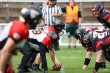 Thumbs/tn_IMG_9810.jpg