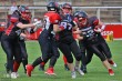 Thumbs/tn_IMG_9895.jpg
