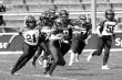 Thumbs/tn_IMG_9959.jpg