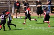 Thumbs/tn_JMG_0180.jpg