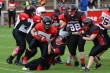 Thumbs/tn_JMG_0229.jpg