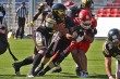 Thumbs/tn_IMG_0856.jpg