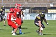 Thumbs/tn_IMG_0964.jpg