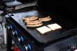 Thumbs/tn_IMG_4118.jpg