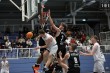 Thumbs/tn_IMG_0181.jpg