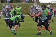Thumbs/tn_IMG_2237.jpg