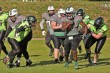Thumbs/tn_IMG_2300.jpg