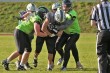 Thumbs/tn_IMG_2381.jpg