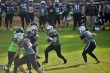Thumbs/tn_IMG_2454.jpg